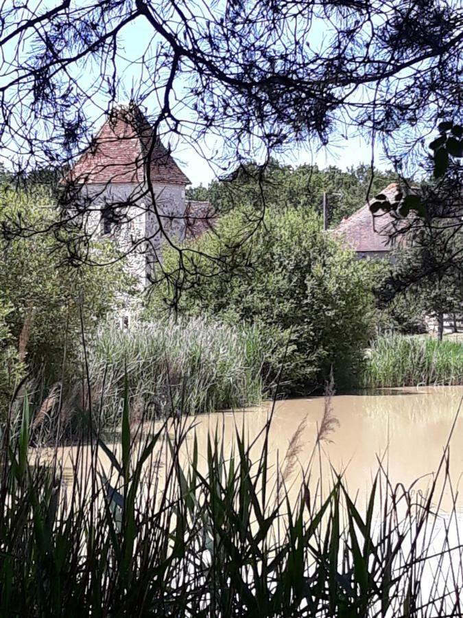 Le Manoir De Pierre Levee, The Originals Collection Tournon-Saint-Martin Exterior foto