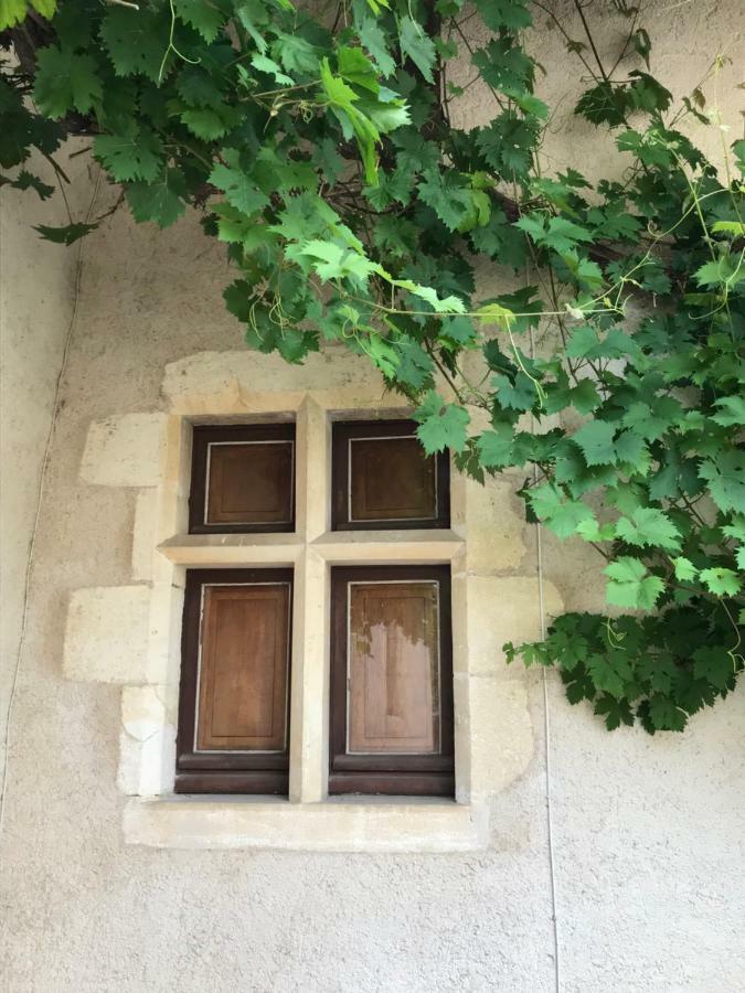 Le Manoir De Pierre Levee, The Originals Collection Tournon-Saint-Martin Exterior foto