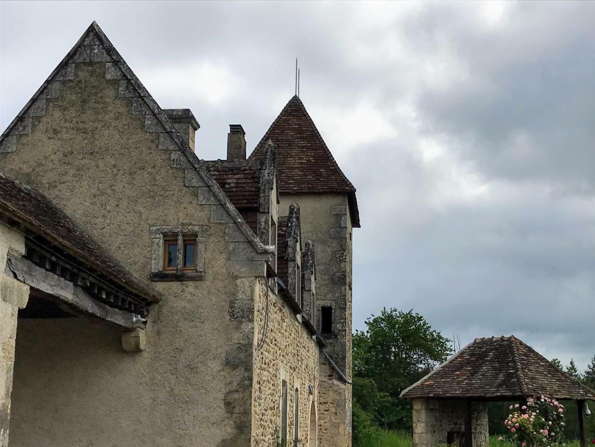 Le Manoir De Pierre Levee, The Originals Collection Tournon-Saint-Martin Exterior foto
